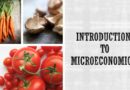 INTRODUCTION TO MICROECONOMICS