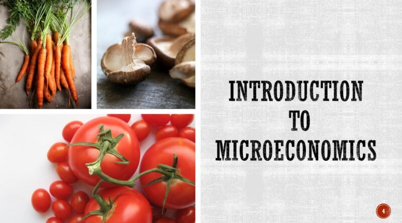 INTRODUCTION TO MICROECONOMICS